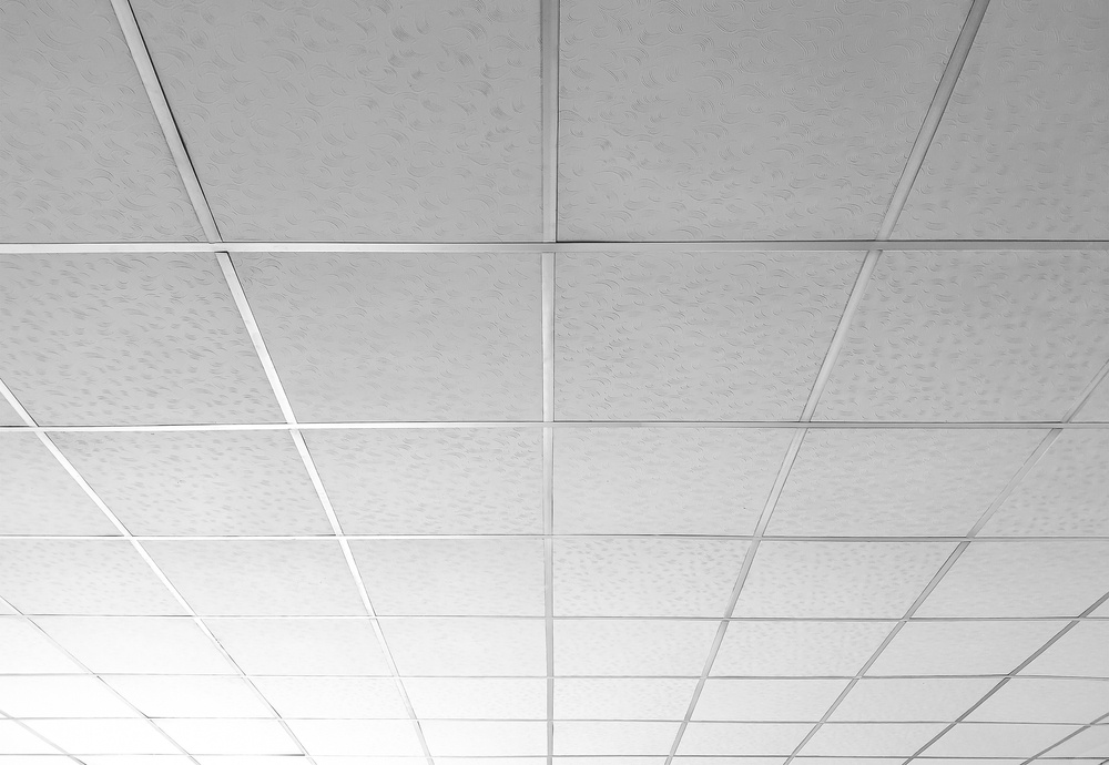 Roof Coating Systems