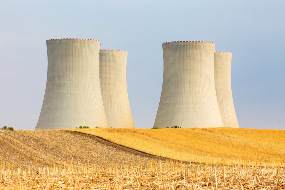 Nuclear Protective Coatings